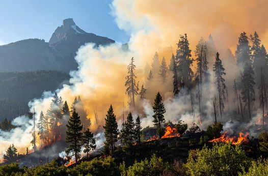 What Insurers Need to Know About California’s FAIR Plan Assessment Recoupment Guidance