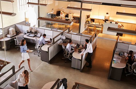 Five Workplace Issues Every Employer Should Address Before They Become a Costly Lawsuit