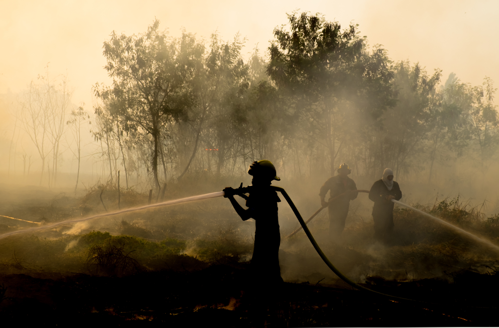 Francesco Palanda Addresses Home Insurance Challenges in Natural Disaster-Prone States