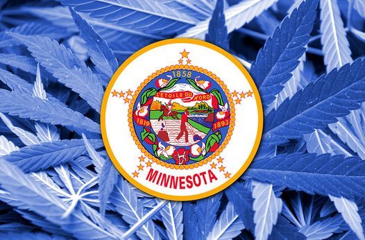 Mitch Chargo Discusses Business Opportunities from Minnesota's New Cannabis Regulation