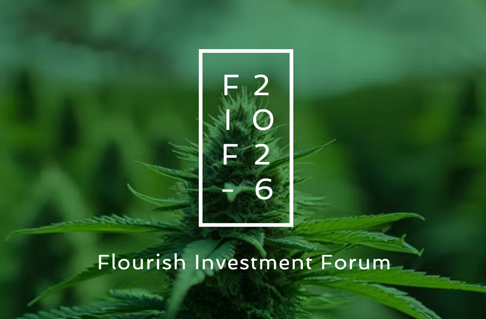 Mitchel Chargo Speaks on the Rapidly Evolving Cannabis Industry
