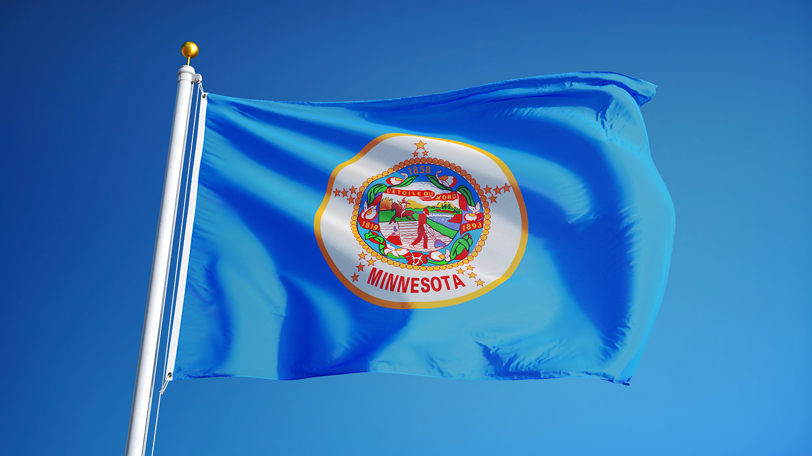 Minnesota state flag