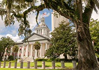 Image of Florida State Capitol Building