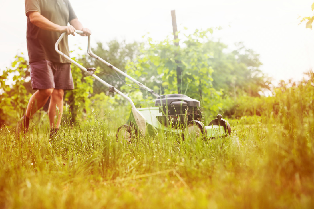 Man Mowing Overgrown Lawn